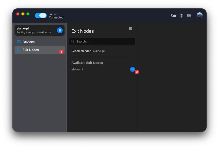 Tailscale client - exit nodes